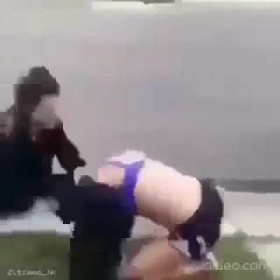 Xd