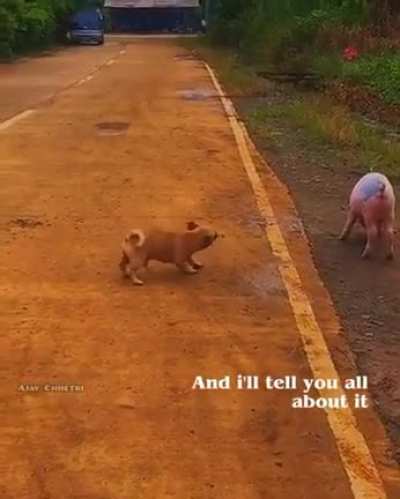 😶