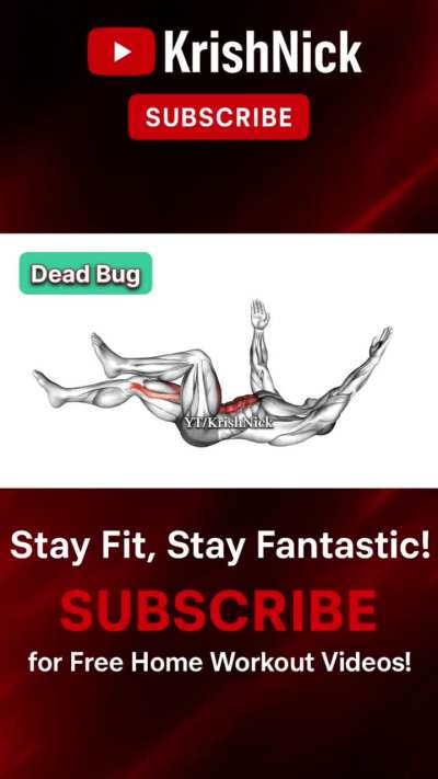 Dead Bug Exercise for Stronger Core &amp;amp; Stability