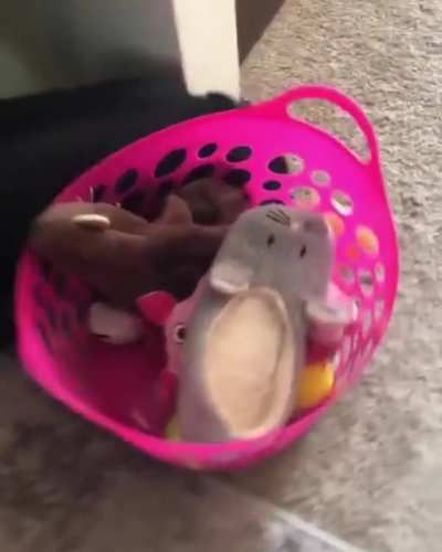 Paisley Playing With Her Toy