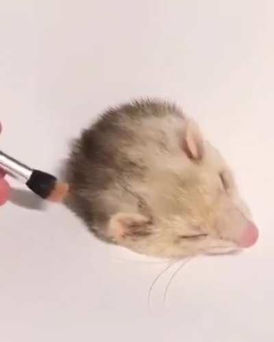 Dry brush technique