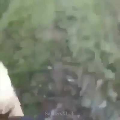 Average florida man