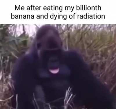 I’ve had too much