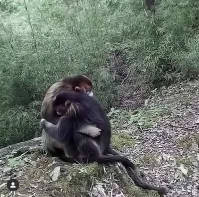 Sometimes all we need is just a hug