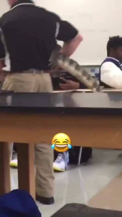 Zoo meets classroom 😄