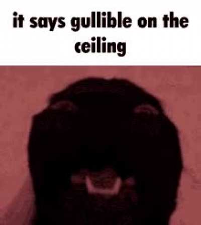 Rule
