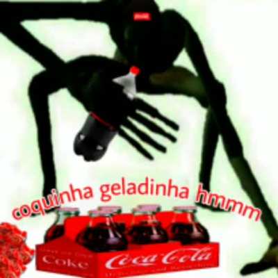 Coquinha gelada