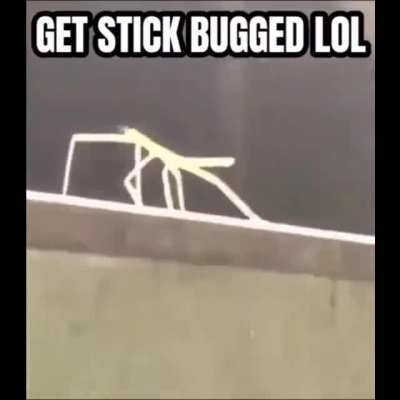 me_irl