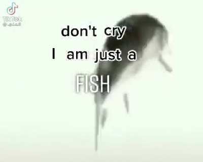 Fish 😔😔😔