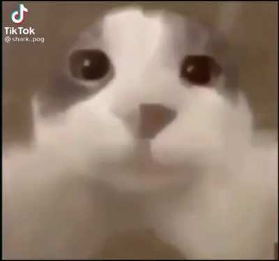 Bom dia grupo