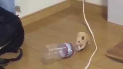 Me_irl