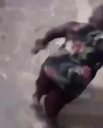 xd