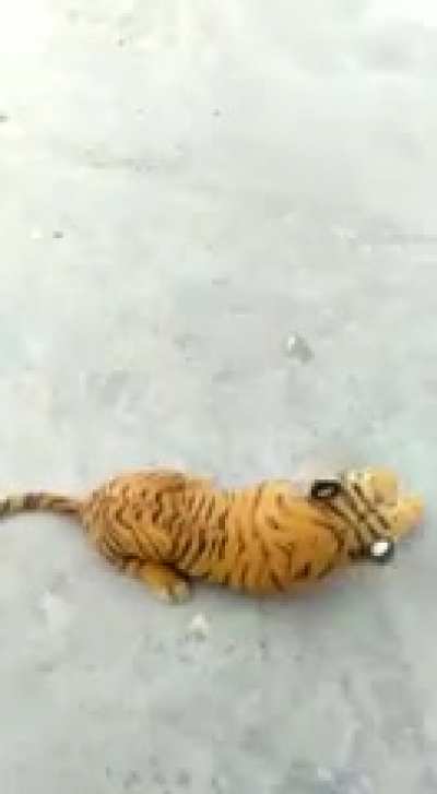 A stuffed Murderer!