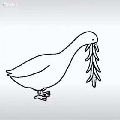Thanks, I hate ducks