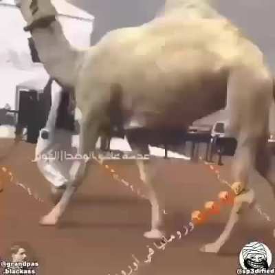 AAA