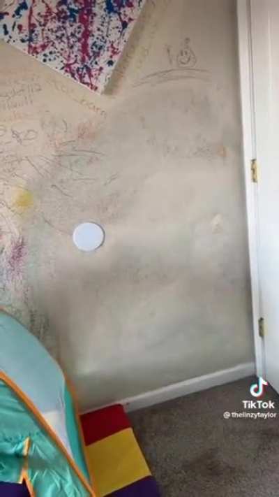 I'm putting this on TikTok!