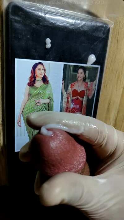 Madhuri Dixit Cum Tribute