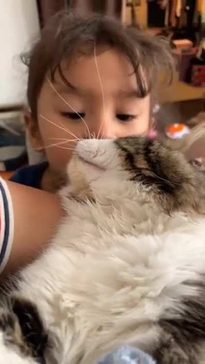No kisses allowed