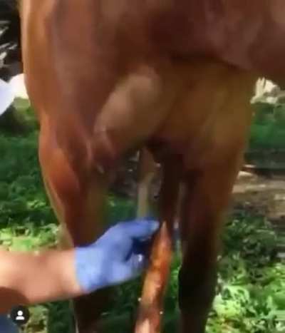 Maybe maybe maybe
