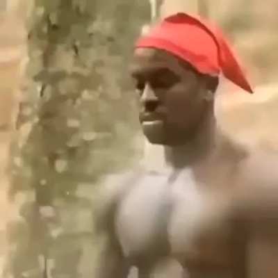 feliz dia do saci