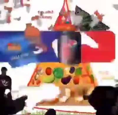2015 i g&ouml;r&uuml;r g&ouml;rmez t&uuml;ylerim diken diken oldu (şakasız) ah MLG &uuml;z&uuml;ml&uuml; kekim :(