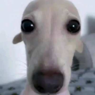 ola