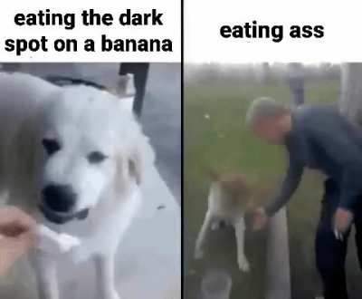 totally edible