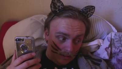 Cats at 3AM