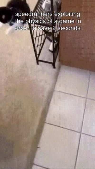 wheee!