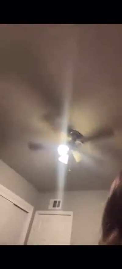 ashleyarambula1 - Video #9620