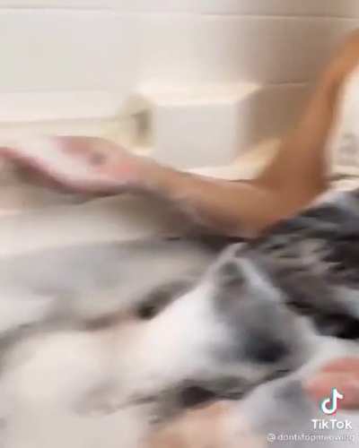 Продолжение "дня Спа"