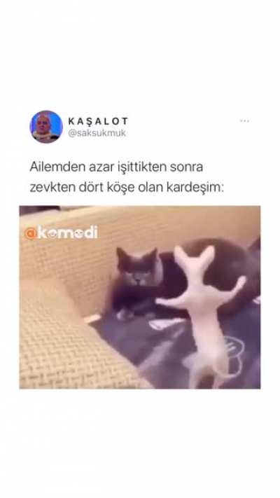 Gece gece ne g&uuml;ld&uuml;m amk