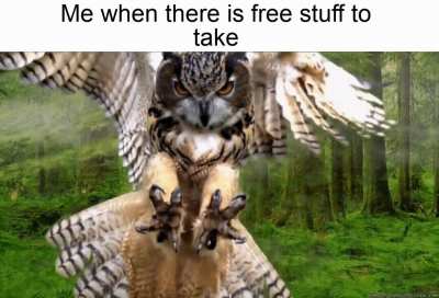 When there is free stuff to take