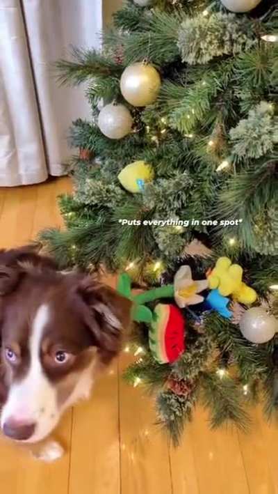Decorating the Christmas tree