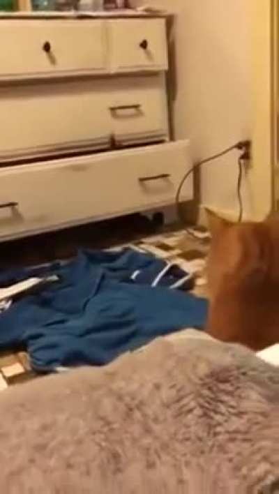 Wait for it