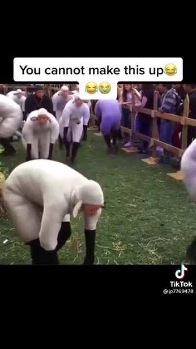 They took some LSD I think..