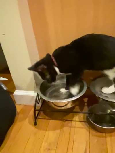 Do you have a problem with the way I drink?