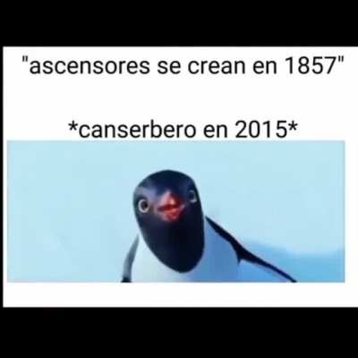 :o