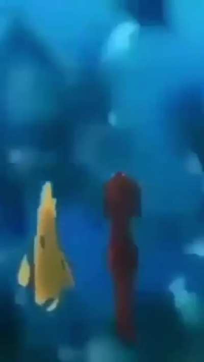 FINDING SEA APE
