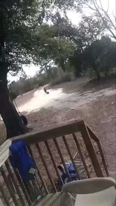 dumbass lil nigga