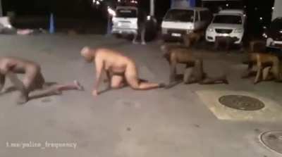 Looters stripped naked and forced to crawl around on all fours