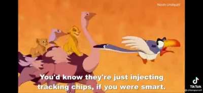 Simba knows what&rsquo;s up!