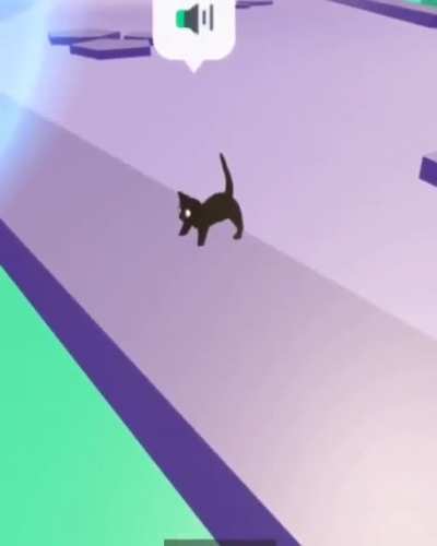 cat 👍👍👍