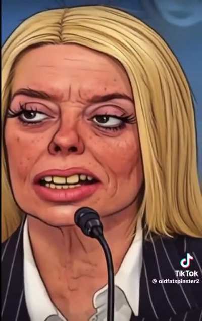 Pammy Bondi Testimony — Who Did This?😆