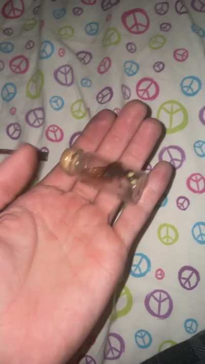Murder hornet in Nc?