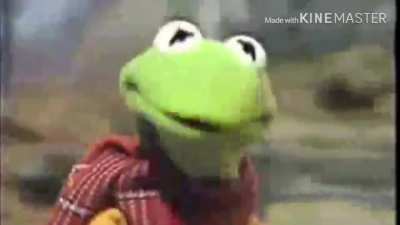 Noooo Kermit