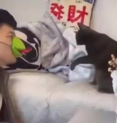 MLEM (I can't stop watching this)