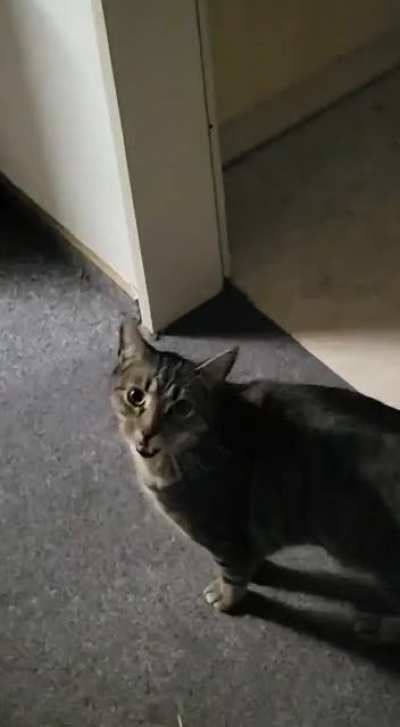 He yell