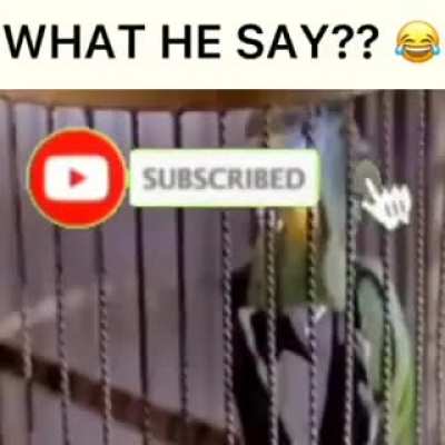 Here&rsquo;s a funny meme other then the stupid Ronnie shit