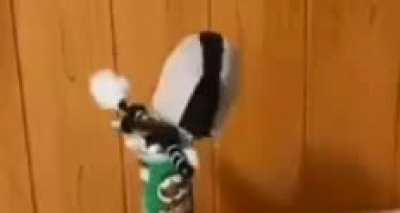 MAAU - Video #7541